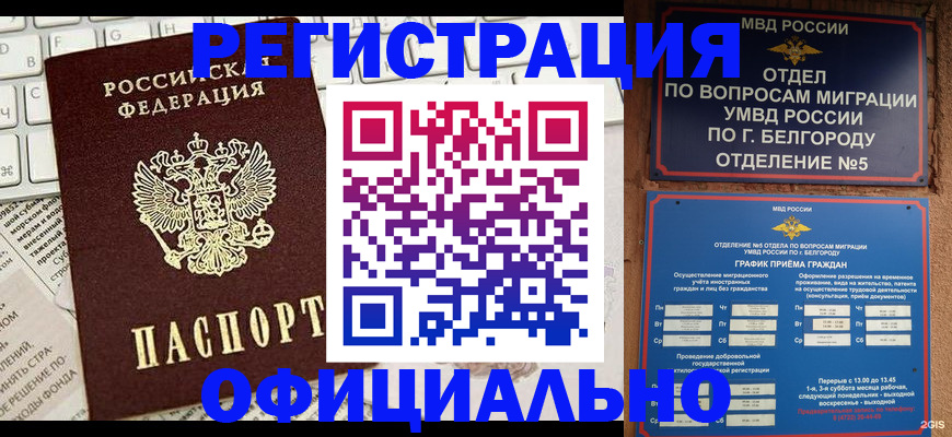 где прописаться в Щёлково
